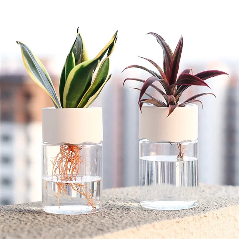 Mini Transparent Hydroponic Flower Pot – Imitation Glass Soilless Plant Vase for Home Décor & Green Plants