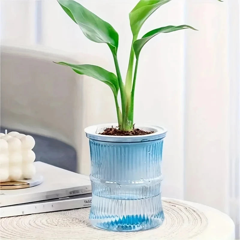 Lazy Self-Watering Hydroponic Flower Pot – Transparent Double-Layer Automatic Water-Absorbing Planter for Office & Home