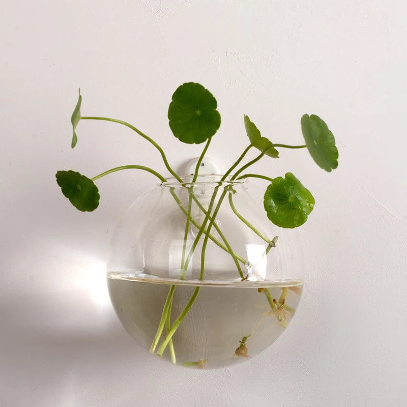 Semi-Circular Wall Hanging Glass Vase – Hydroponic Plant Terrarium & Fish Tank Aquarium for Home Décor