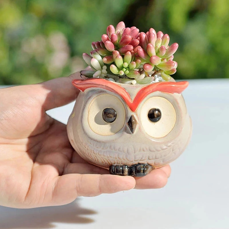 Cute Owl Ceramic Succulent Planter – Mini Animal Flower Pot for Cactus, Garden & Office Décor