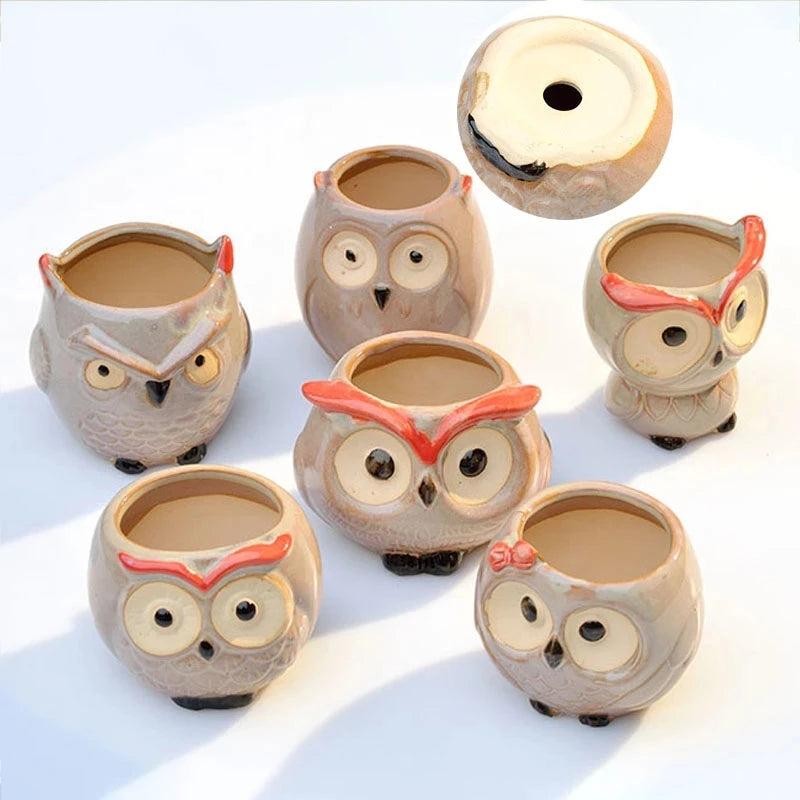 Cute Owl Ceramic Succulent Planter – Mini Animal Flower Pot for Cactus, Garden & Office Décor