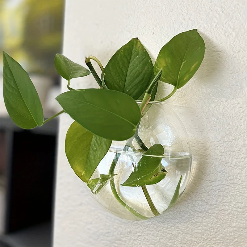 Semi-Circular Wall Hanging Glass Vase – Hydroponic Plant Terrarium & Fish Tank Aquarium for Home Décor