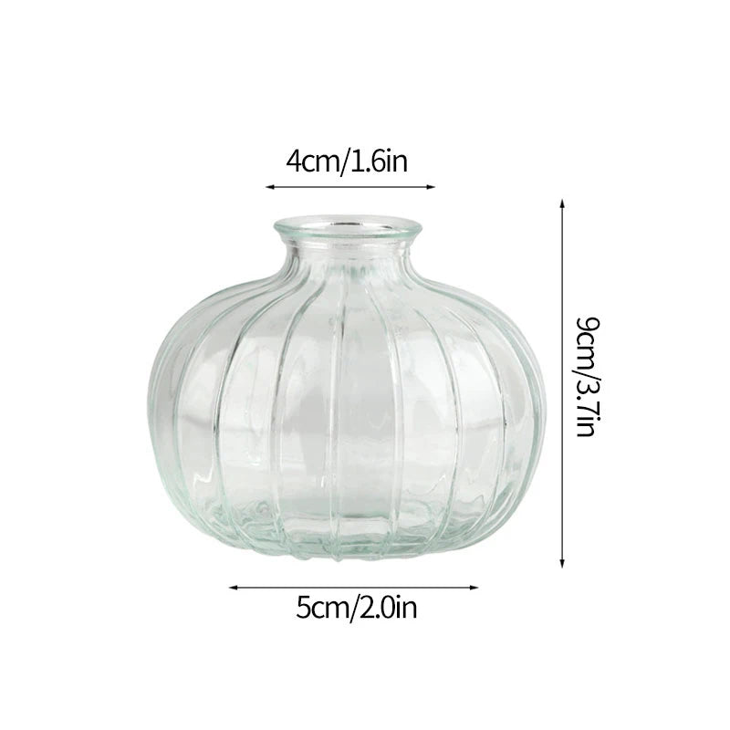 Retro Glass Flower Vase – Decorative Plant Bottle for Home Décor, Office Desk, and Flower Arrangements