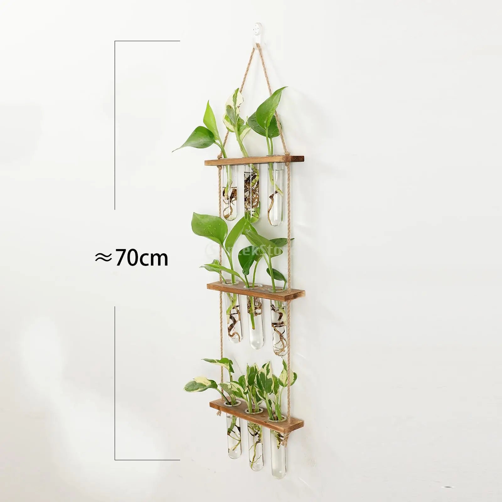 Wall Hanging Test Tube Glass Planter – Flower Bud Vase with Wooden Holder for Hydroponic Plant Propagation