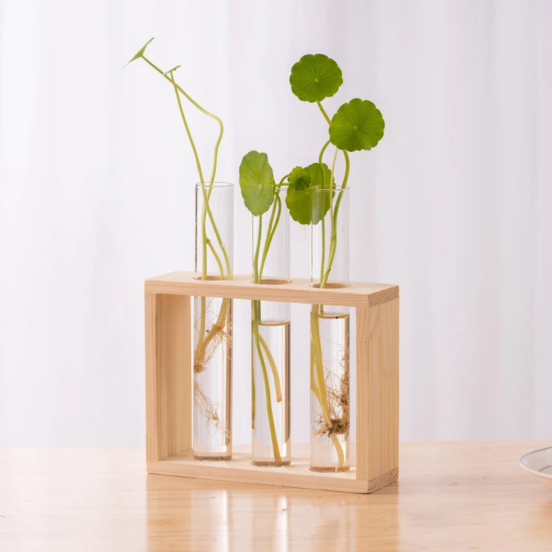 Creative Hydroponic Plant Container Set – Transparent Glass Test Tube Vase with Wooden Frame for Home & Desktop Décor