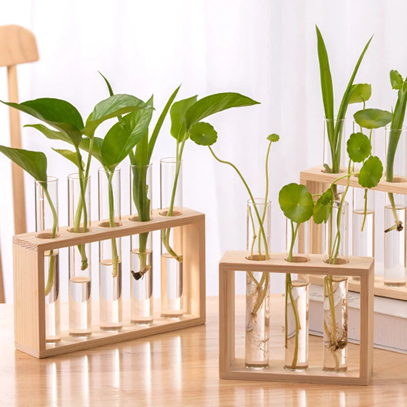 Creative Hydroponic Plant Container Set – Transparent Glass Test Tube Vase with Wooden Frame for Home & Desktop Décor