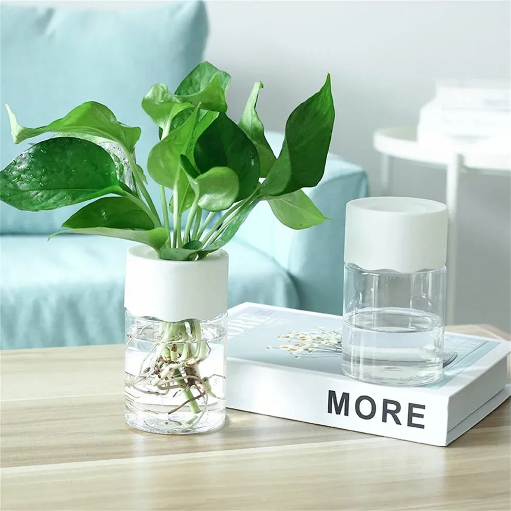 Mini Transparent Hydroponic Flower Pot – Imitation Glass Soilless Plant Vase for Home Décor & Green Plants