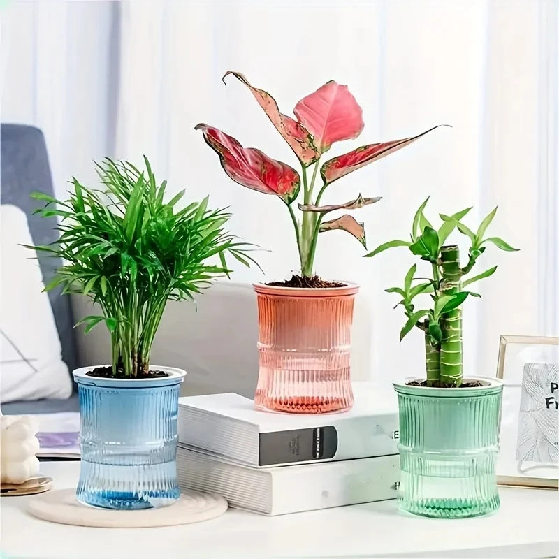 Lazy Self-Watering Hydroponic Flower Pot – Transparent Double-Layer Automatic Water-Absorbing Planter for Office & Home