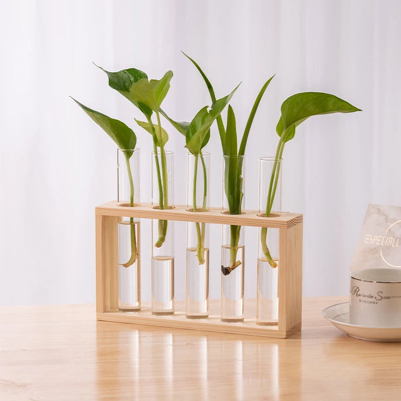 Creative Hydroponic Plant Container Set – Transparent Glass Test Tube Vase with Wooden Frame for Home & Desktop Décor