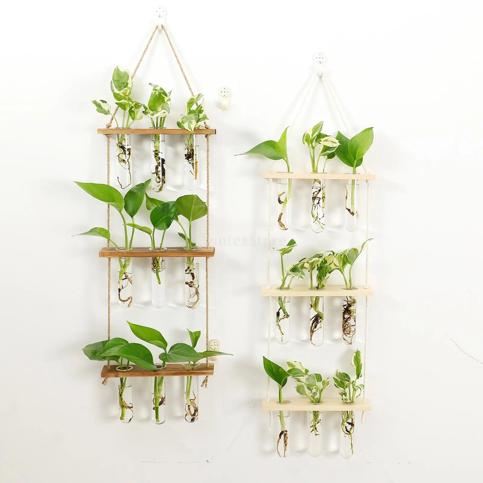 Wall Hanging Test Tube Glass Planter – Flower Bud Vase with Wooden Holder for Hydroponic Plant Propagation