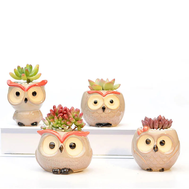 Cute Owl Ceramic Succulent Planter – Mini Animal Flower Pot for Cactus, Garden & Office Décor