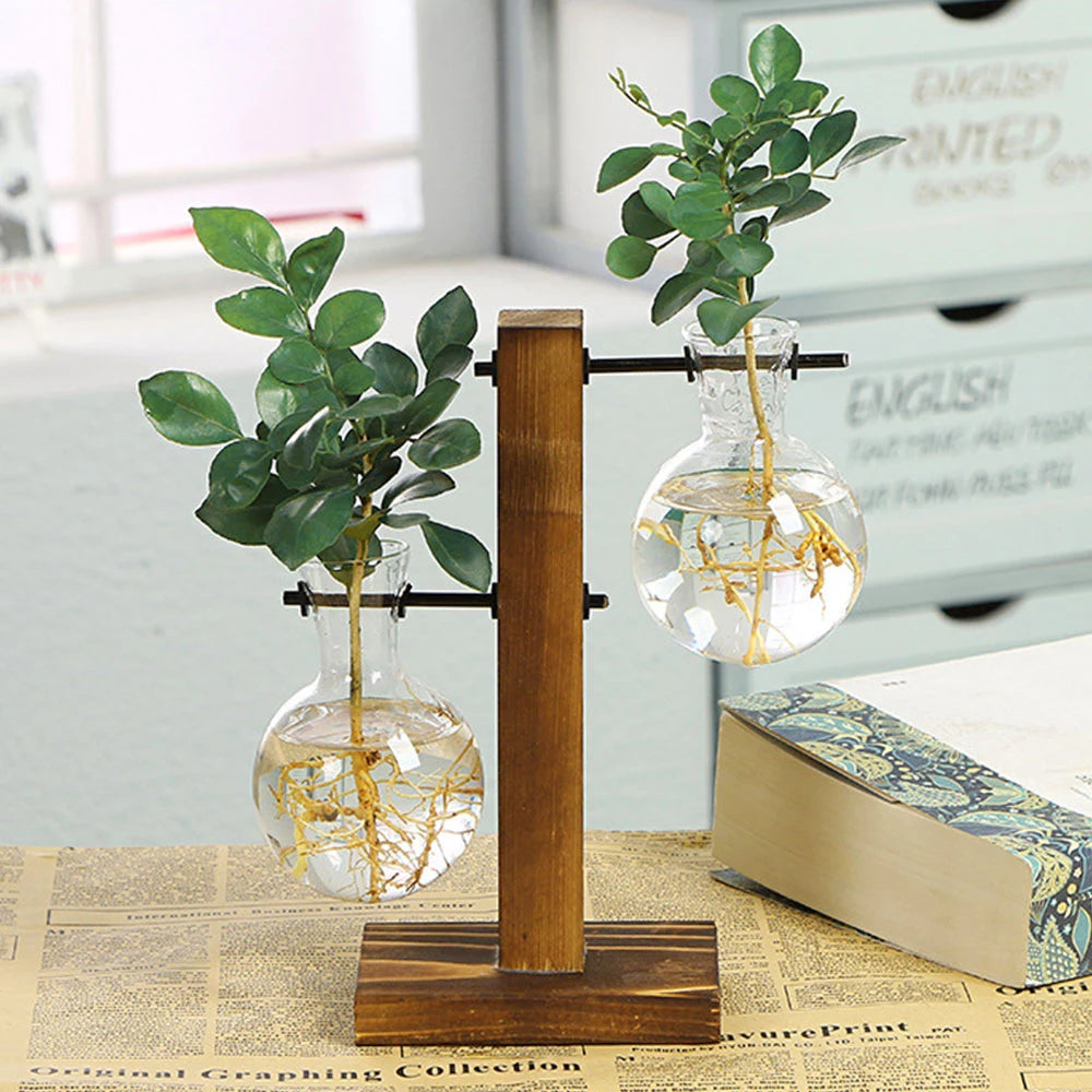 Creative Glass Bulb Vase with Wooden Stand – Hydroponic Desktop Planter for Home Tabletop Décor