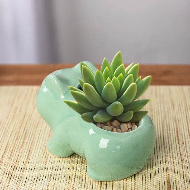 Creative Ceramic Mini Succulent Planter – Cute Flower Pot with Drainage Hole for Home Garden & Outdoor Décor