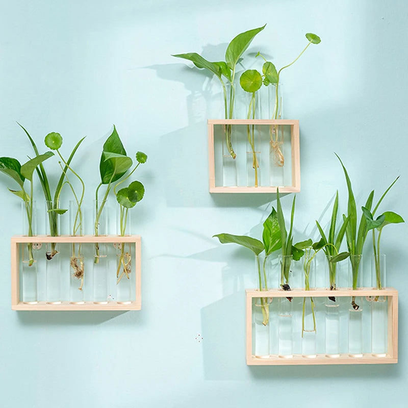 Creative Hydroponic Plant Container Set – Transparent Glass Test Tube Vase with Wooden Frame for Home & Desktop Décor