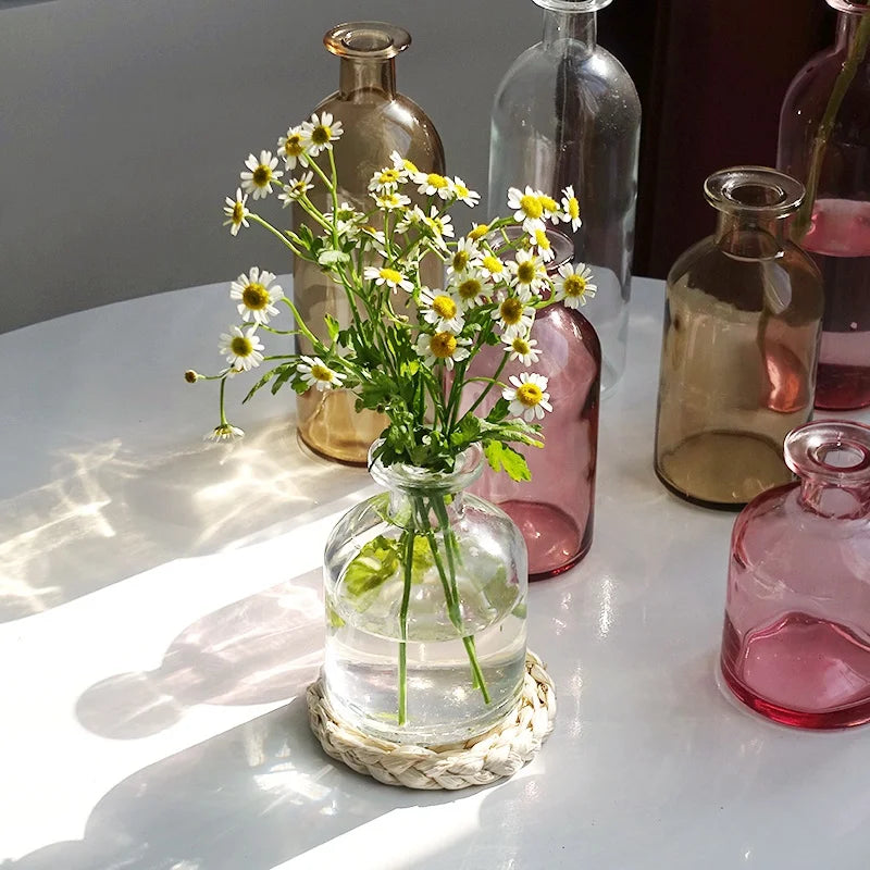 Retro Glass Flower Vase – Decorative Plant Bottle for Home Décor, Office Desk, and Flower Arrangements