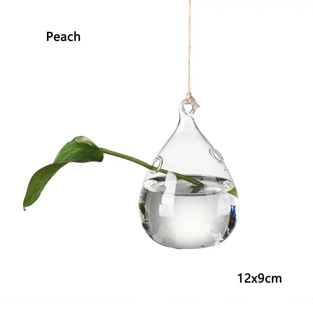 Cute Bulb/Bird/Angel/Peach/Water Droplet Glass Vase – Eye-Catching Transparent Hanging Hydroponic Plant Pot Container