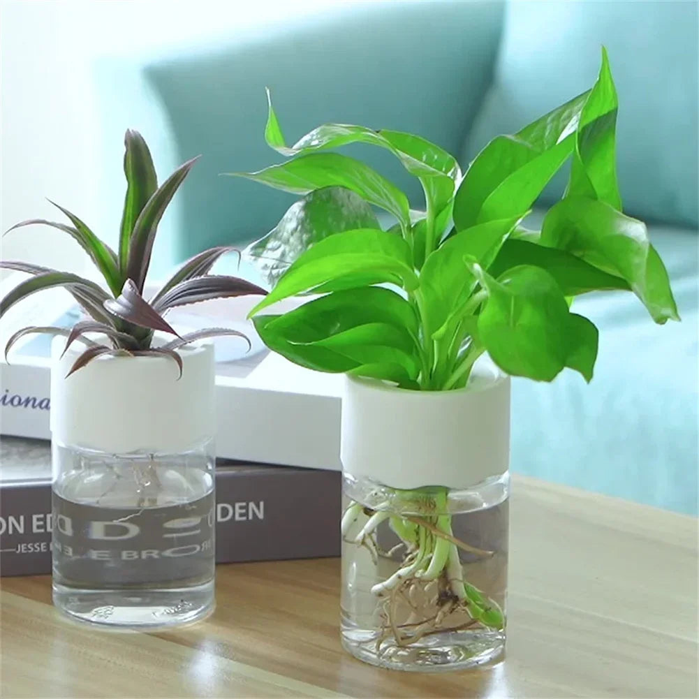 Mini Transparent Hydroponic Flower Pot – Imitation Glass Soilless Plant Vase for Home Décor & Green Plants