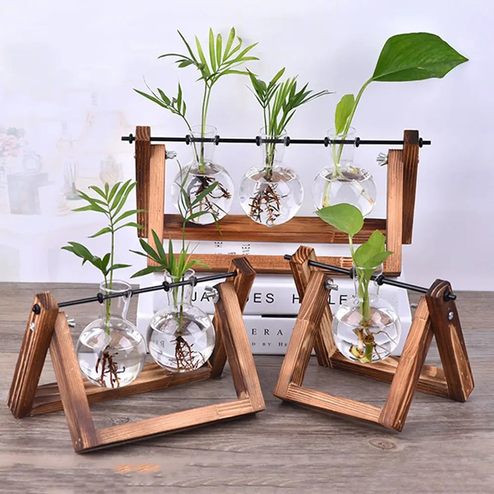 Vintage Glass Hydroponic Plant Vase – Wooden Frame Terrarium Flower Pot for Bonsai & Tabletop Home Décor