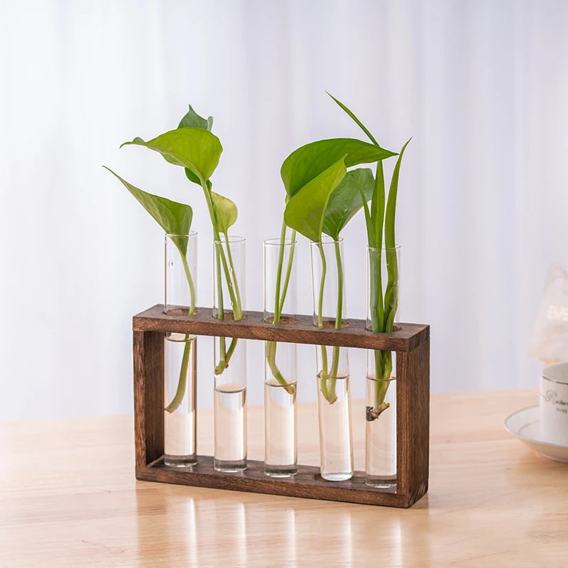 Creative Hydroponic Plant Container Set – Transparent Glass Test Tube Vase with Wooden Frame for Home & Desktop Décor