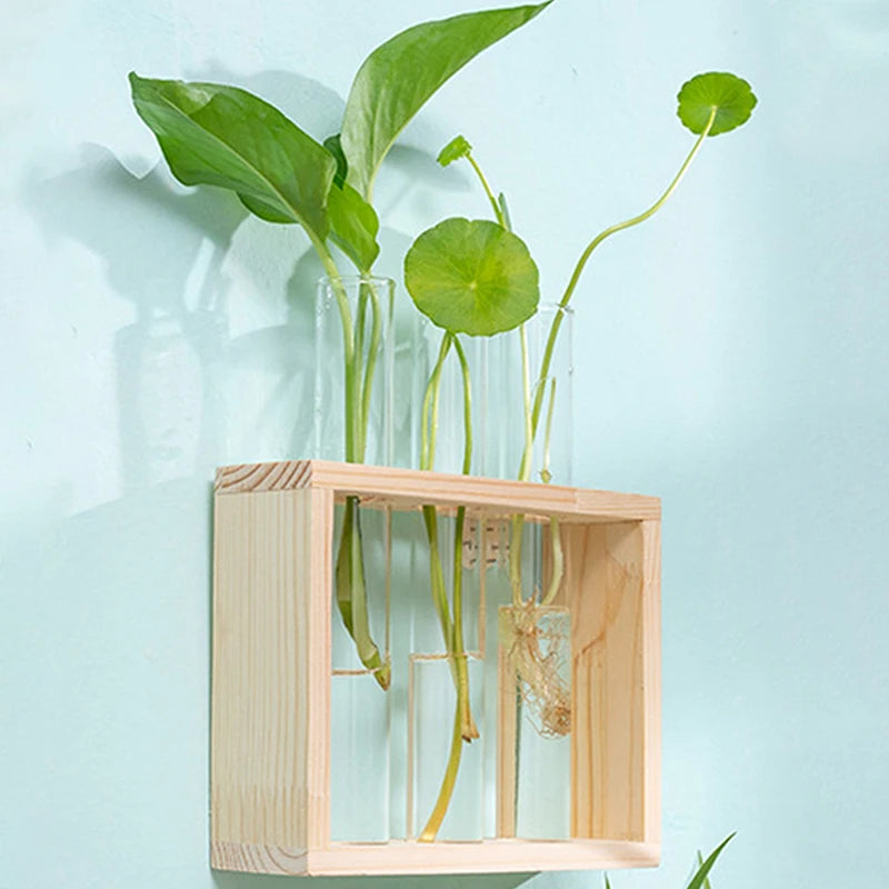 Creative Hydroponic Plant Container Set – Transparent Glass Test Tube Vase with Wooden Frame for Home & Desktop Décor