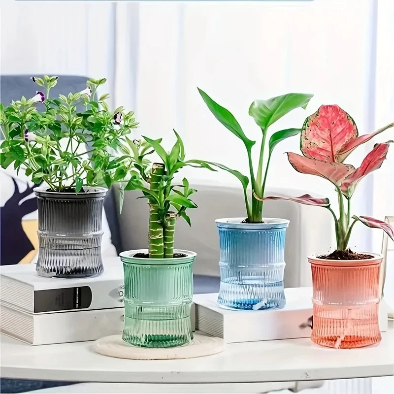 Lazy Self-Watering Hydroponic Flower Pot – Transparent Double-Layer Automatic Water-Absorbing Planter for Office & Home