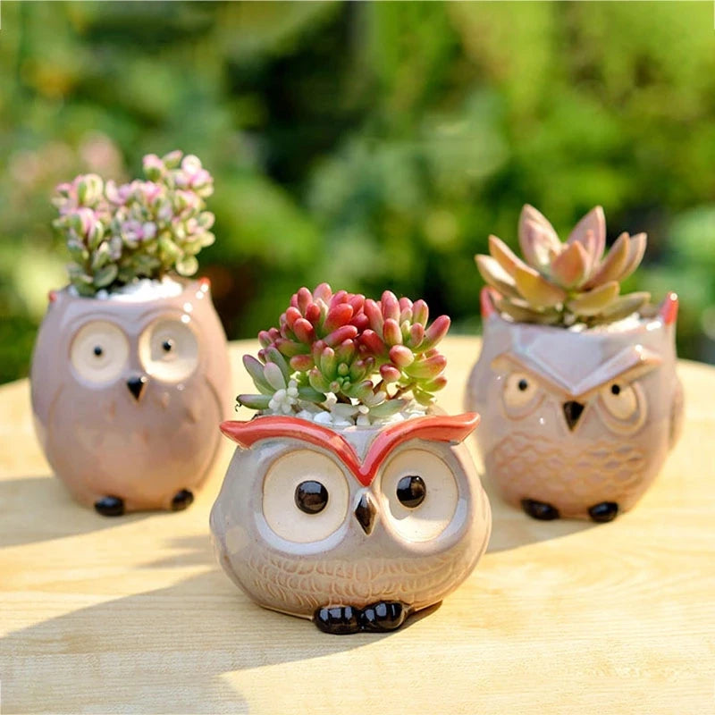 Cute Owl Ceramic Succulent Planter – Mini Animal Flower Pot for Cactus, Garden & Office Décor