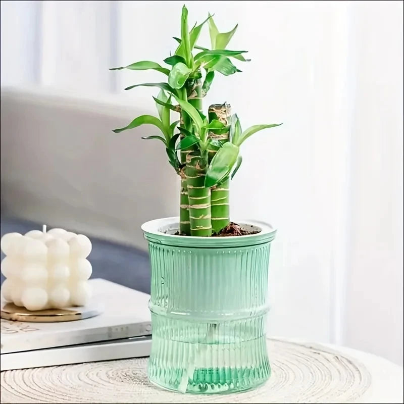 Lazy Self-Watering Hydroponic Flower Pot – Transparent Double-Layer Automatic Water-Absorbing Planter for Office & Home