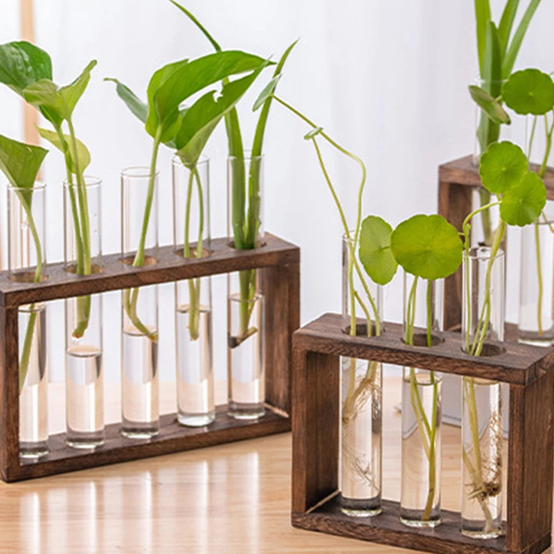 Creative Hydroponic Plant Container Set – Transparent Glass Test Tube Vase with Wooden Frame for Home & Desktop Décor