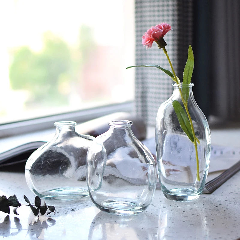 Retro Glass Flower Vase – Decorative Plant Bottle for Home Décor, Office Desk, and Flower Arrangements