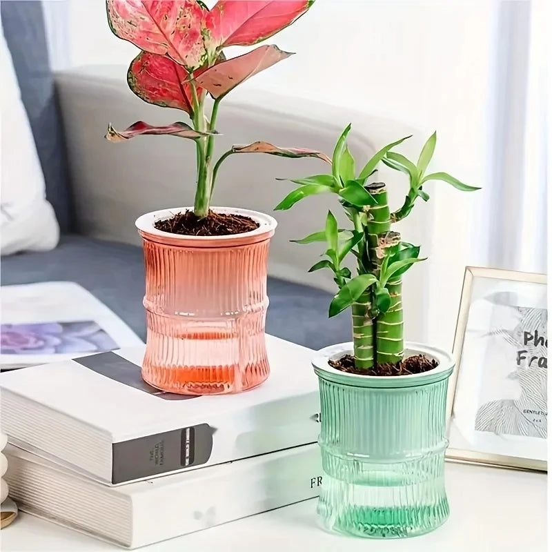 Lazy Self-Watering Hydroponic Flower Pot – Transparent Double-Layer Automatic Water-Absorbing Planter for Office & Home